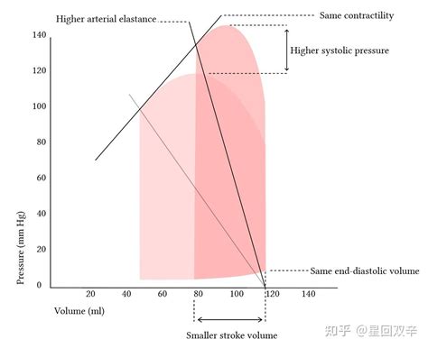 lv 标签设置缓冲区.